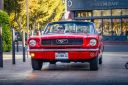 93_-_HD_-_NARBONNE_MUSTANG_FESTIVAL_2014_281280x85329.jpg